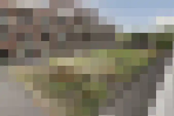 Vivaldiplein 60 Terneuzen thumbnail 29