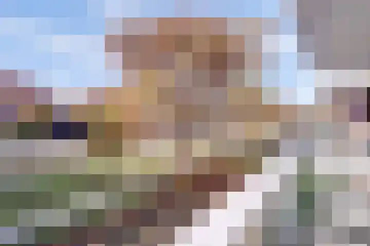 Vivaldiplein 62 Terneuzen thumbnail 27