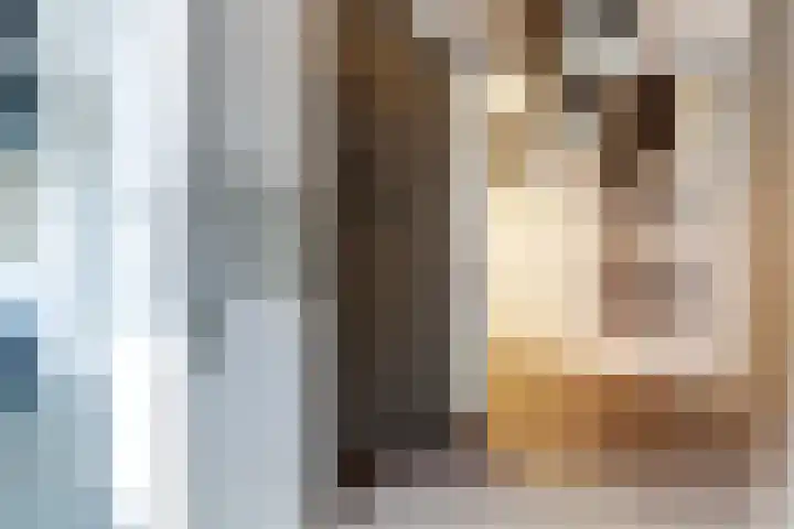 Vivaldiplein 67 Terneuzen thumbnail 9
