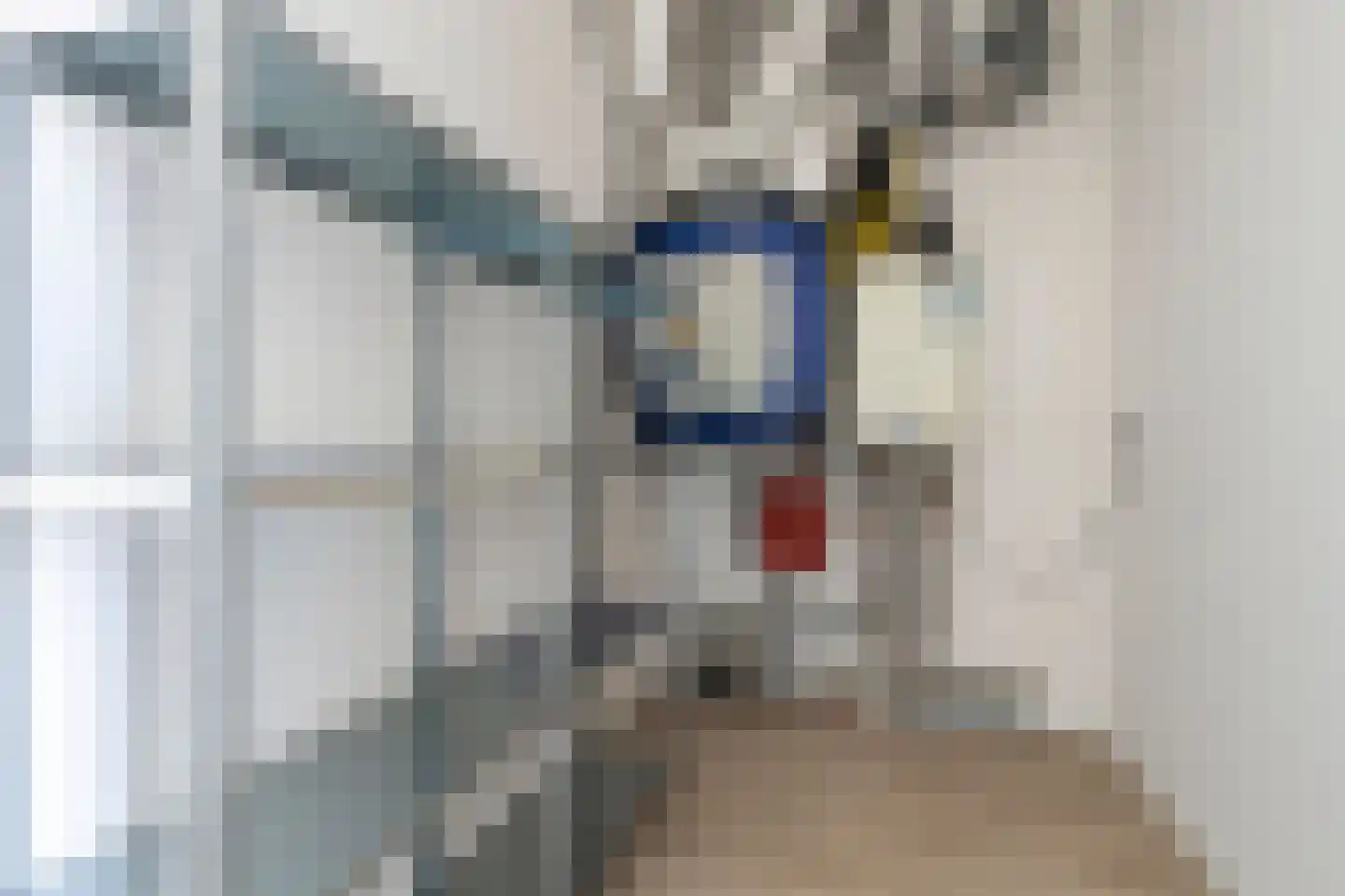 Vivaldiplein 9 Terneuzen thumbnail 23