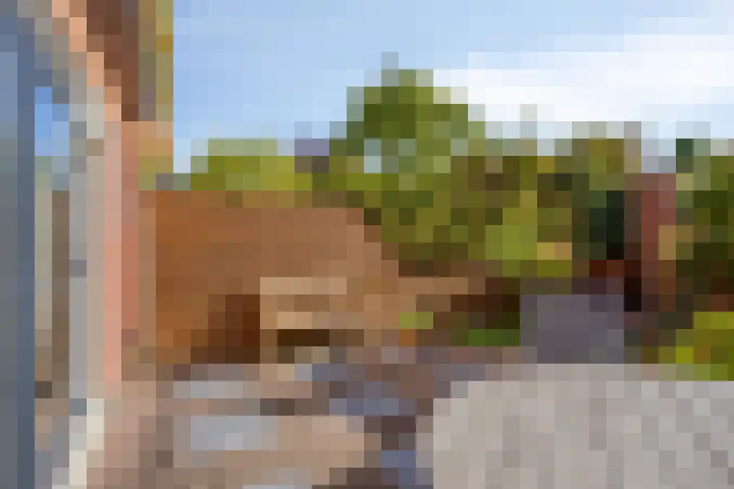 Vivaldisingel 113 Nieuw-Vennep thumbnail 34