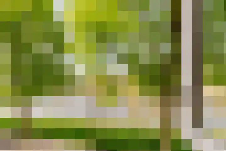 Vivaldisingel 155 Nieuw-Vennep thumbnail 14