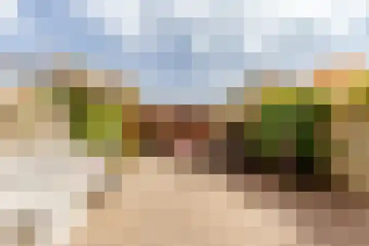 Vivaldisingel 155 Nieuw-Vennep foto 2