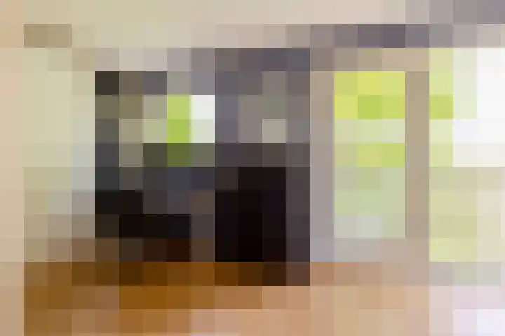 Vivaldisingel 155 Nieuw-Vennep thumbnail 22