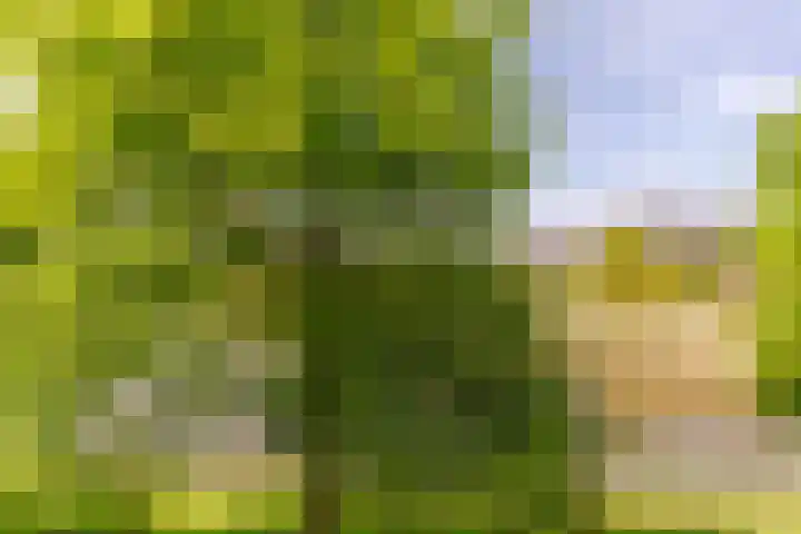 Vivaldisingel 155 Nieuw-Vennep thumbnail 23