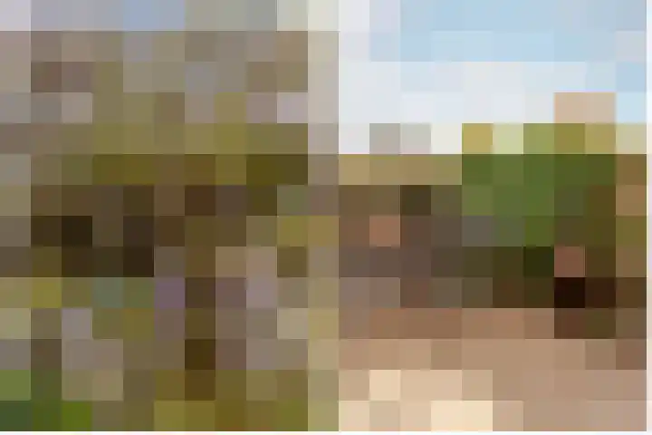 Vivaldisingel 155 Nieuw-Vennep thumbnail 26