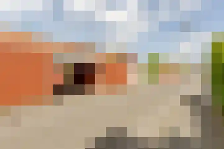 Vivaldisingel 155 Nieuw-Vennep thumbnail 29