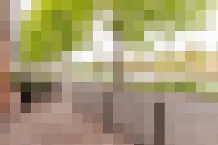 Vivaldisingel 155 Nieuw-Vennep thumbnail 30