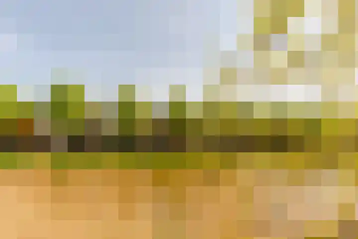Vivaldisingel 155 Nieuw-Vennep thumbnail 36