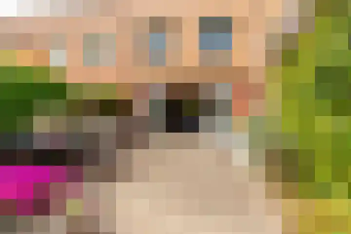 Vivaldisingel 155 Nieuw-Vennep thumbnail 4