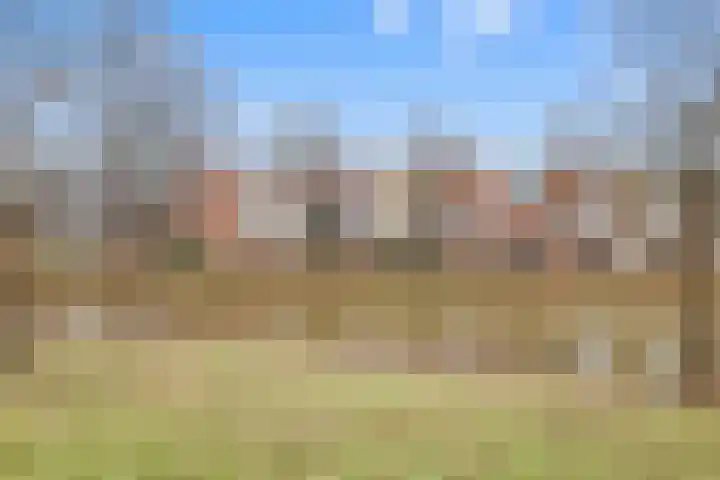 Vivaldisingel 161 in Nieuw-Vennep