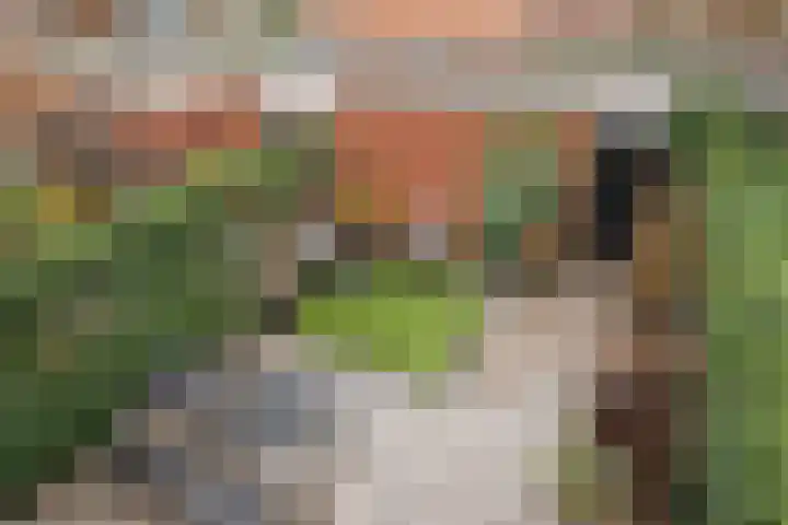 Vivaldisingel 161 Nieuw-Vennep thumbnail 23