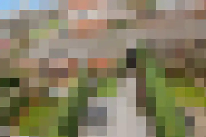 Vivaldisingel 161 Nieuw-Vennep thumbnail 24