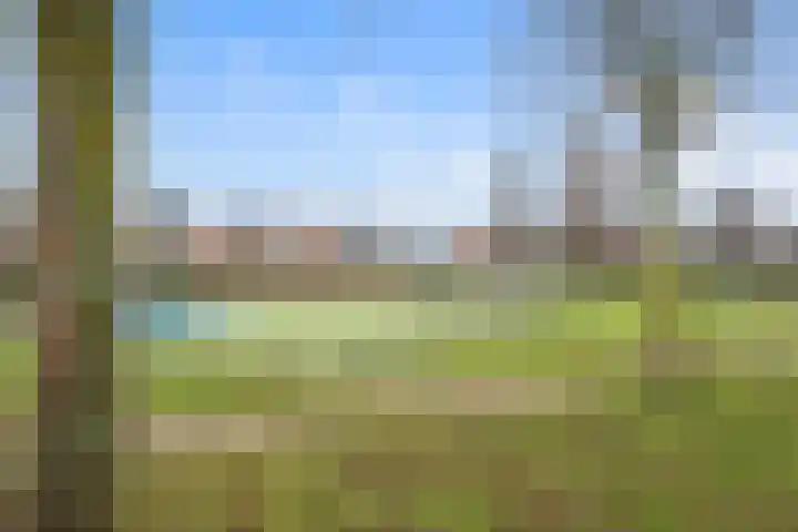 Vivaldisingel 161 Nieuw-Vennep thumbnail 46