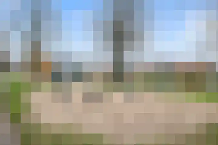 Vivaldisingel 161 Nieuw-Vennep thumbnail 47