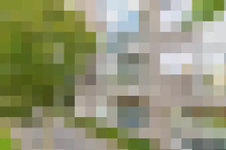 Vivaldisingel 199 Nieuw-Vennep thumbnail 10