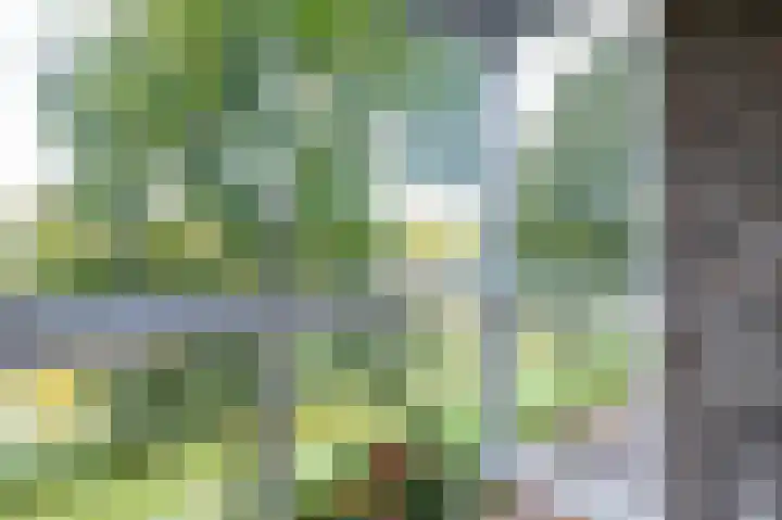 Vivaldisingel 199 Nieuw-Vennep thumbnail 22