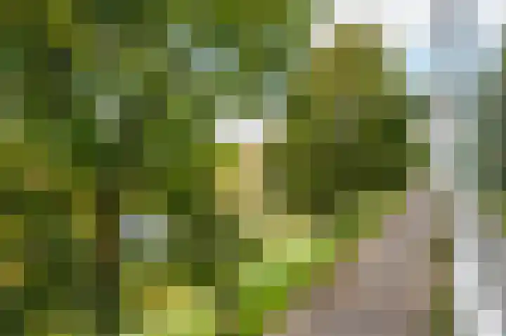 Vivaldisingel 199 Nieuw-Vennep thumbnail 23