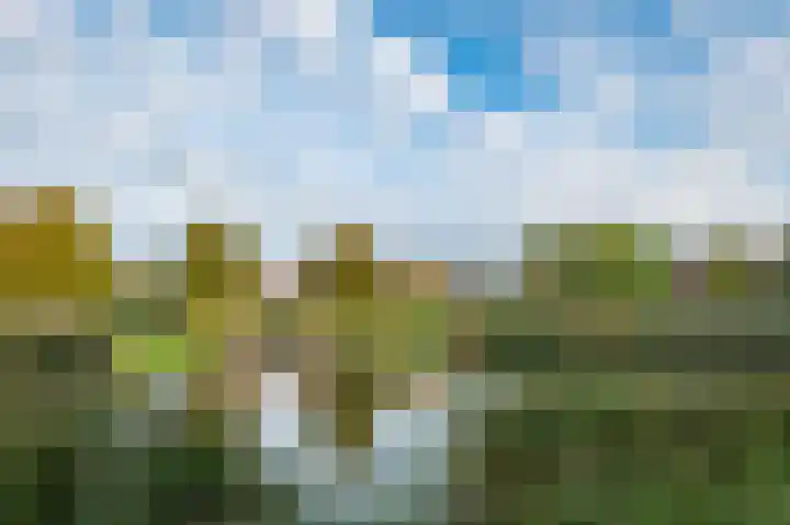 Vivaldisingel 199 Nieuw-Vennep thumbnail 29