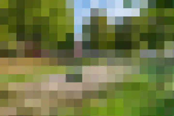 Vivaldisingel 199 Nieuw-Vennep thumbnail 30