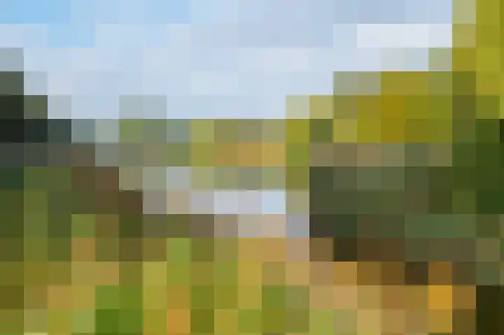 Vivaldisingel 199 Nieuw-Vennep thumbnail 7