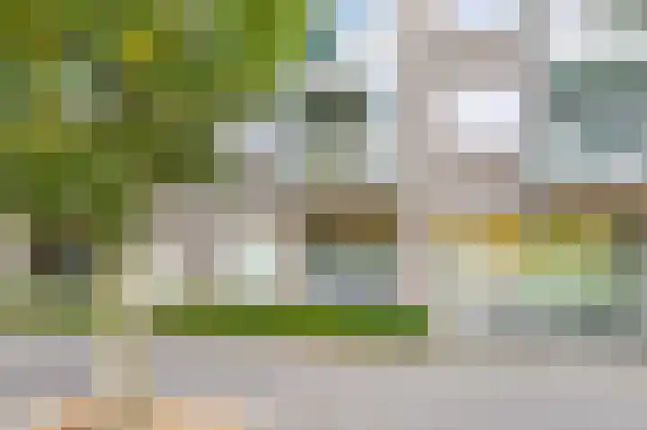Vivaldisingel 199 Nieuw-Vennep thumbnail 9
