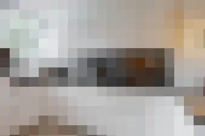 Vivaldisingel 21 Nieuwegein thumbnail 10