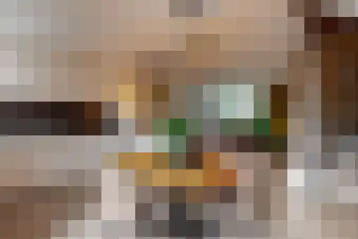 Vivaldisingel 21 Nieuwegein thumbnail 11