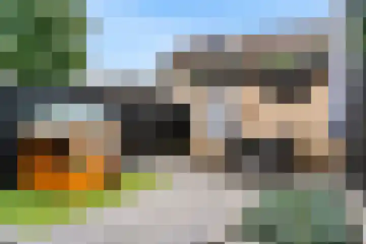 Vivaldisingel 21 Nieuwegein thumbnail 17