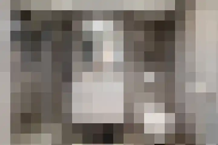 Vivaldisingel 21 Nieuwegein thumbnail 21