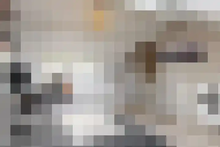 Vivaldisingel 21 Nieuwegein thumbnail 29