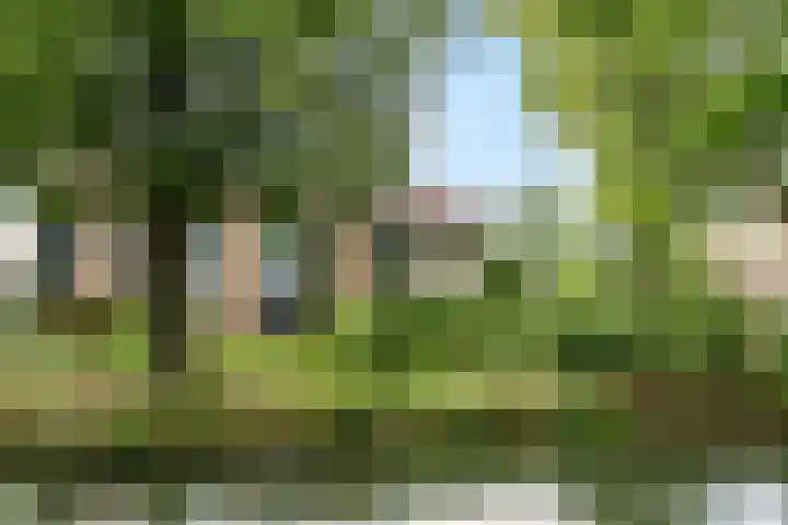 Vivaldisingel 21 Nieuwegein thumbnail 30