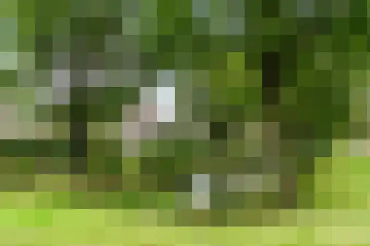 Vivaldisingel 21 Nieuwegein thumbnail 31