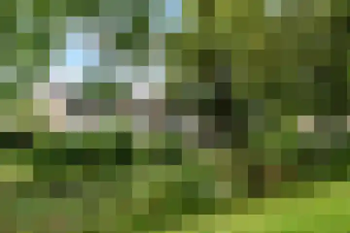 Vivaldisingel 21 Nieuwegein thumbnail 32