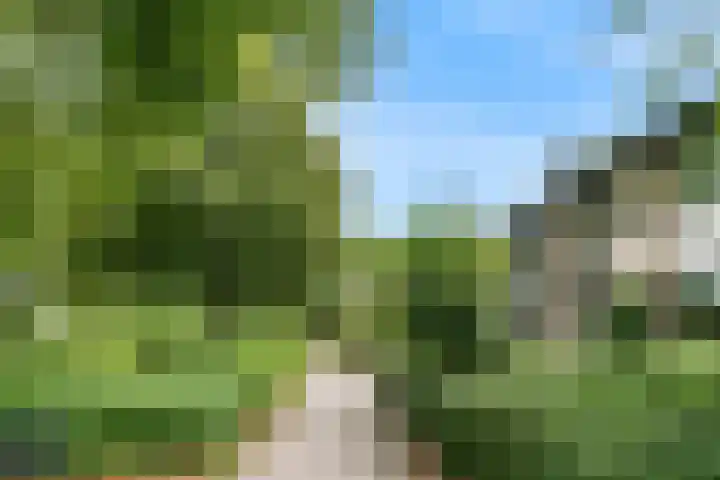 Vivaldisingel 21 Nieuwegein thumbnail 33