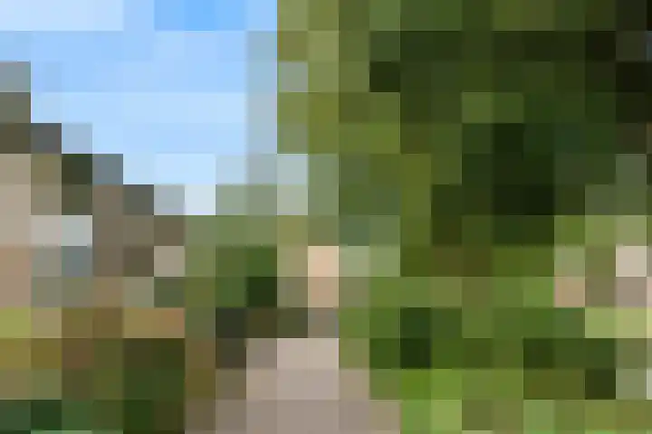 Vivaldisingel 21 Nieuwegein thumbnail 34