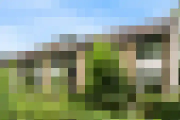 Vivaldisingel 21 Nieuwegein thumbnail 36