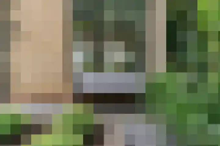 Vivaldisingel 21 Nieuwegein thumbnail 37
