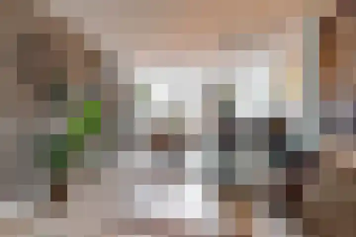 Vivaldisingel 21 Nieuwegein thumbnail 4