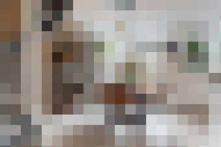 Vivaldisingel 21 Nieuwegein thumbnail 5