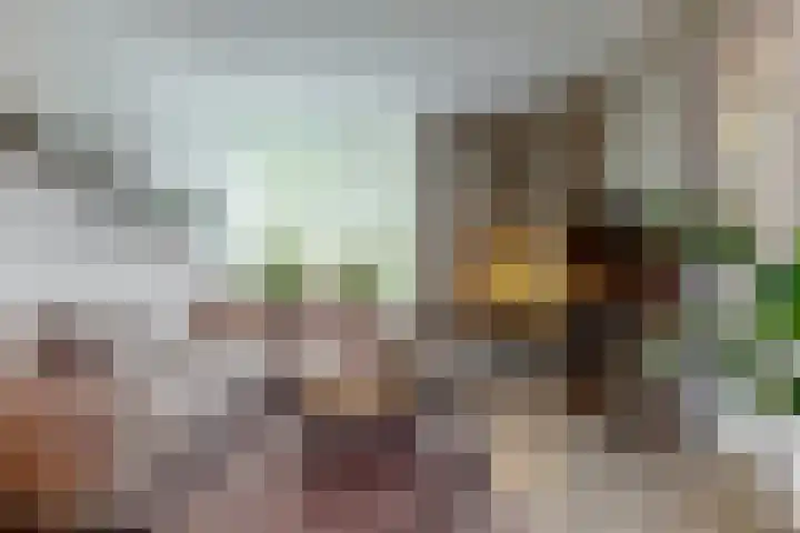 Vivaldisingel 21 Nieuwegein thumbnail 7