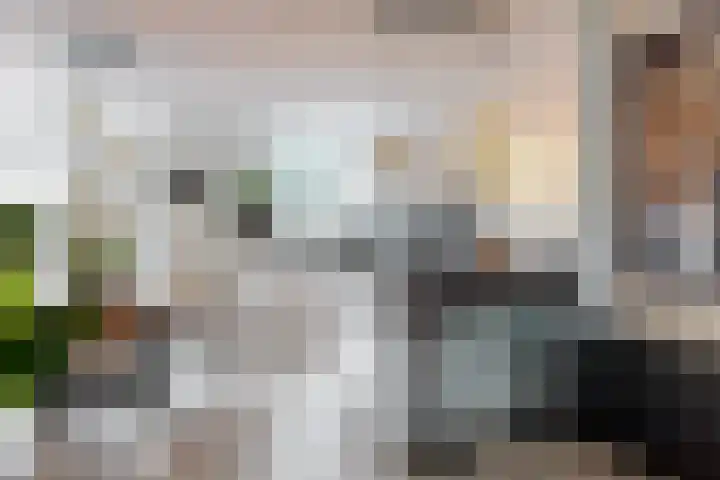 Vivaldisingel 21 Nieuwegein thumbnail 8
