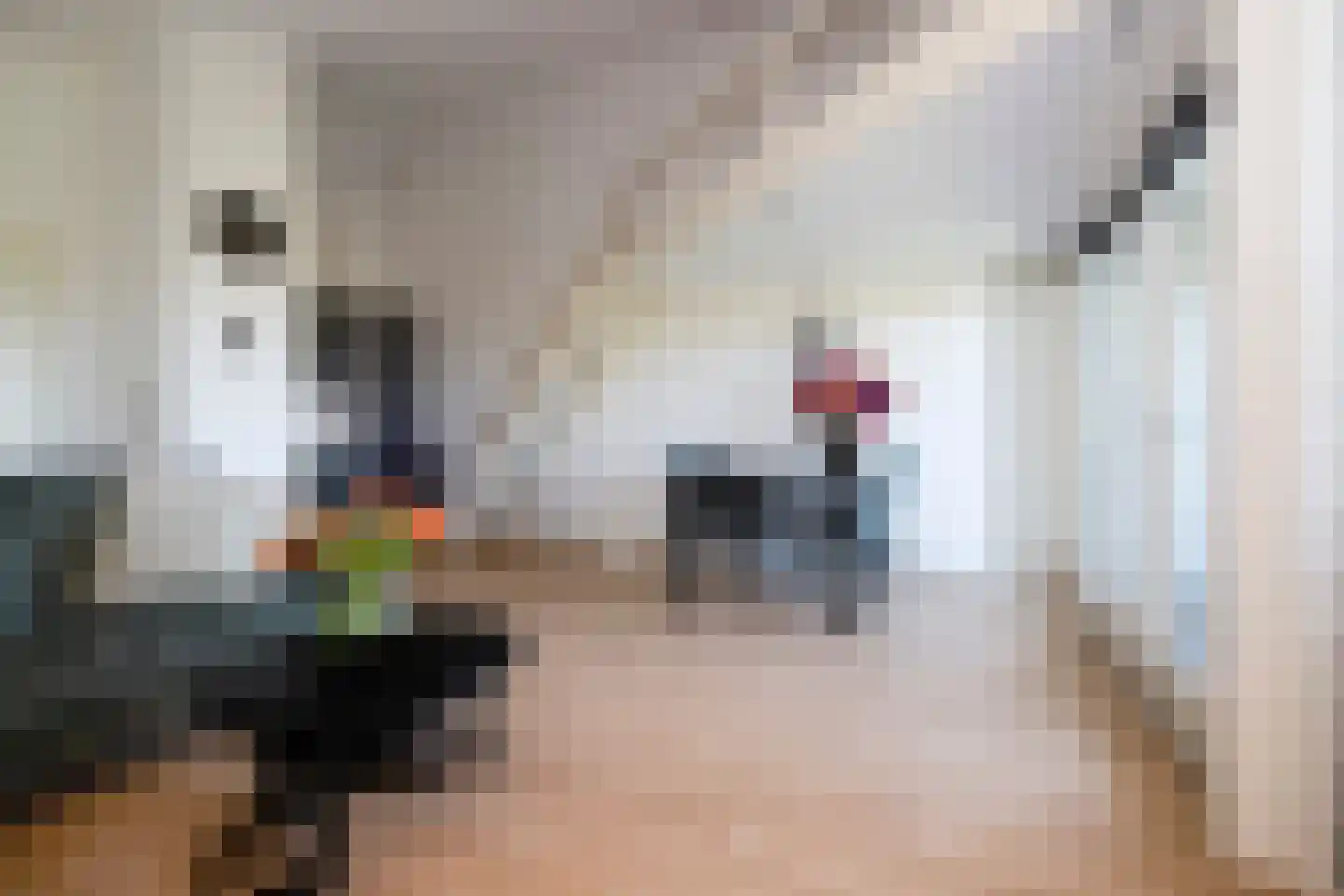 Vivaldisingel 213 Nieuw-Vennep thumbnail 25