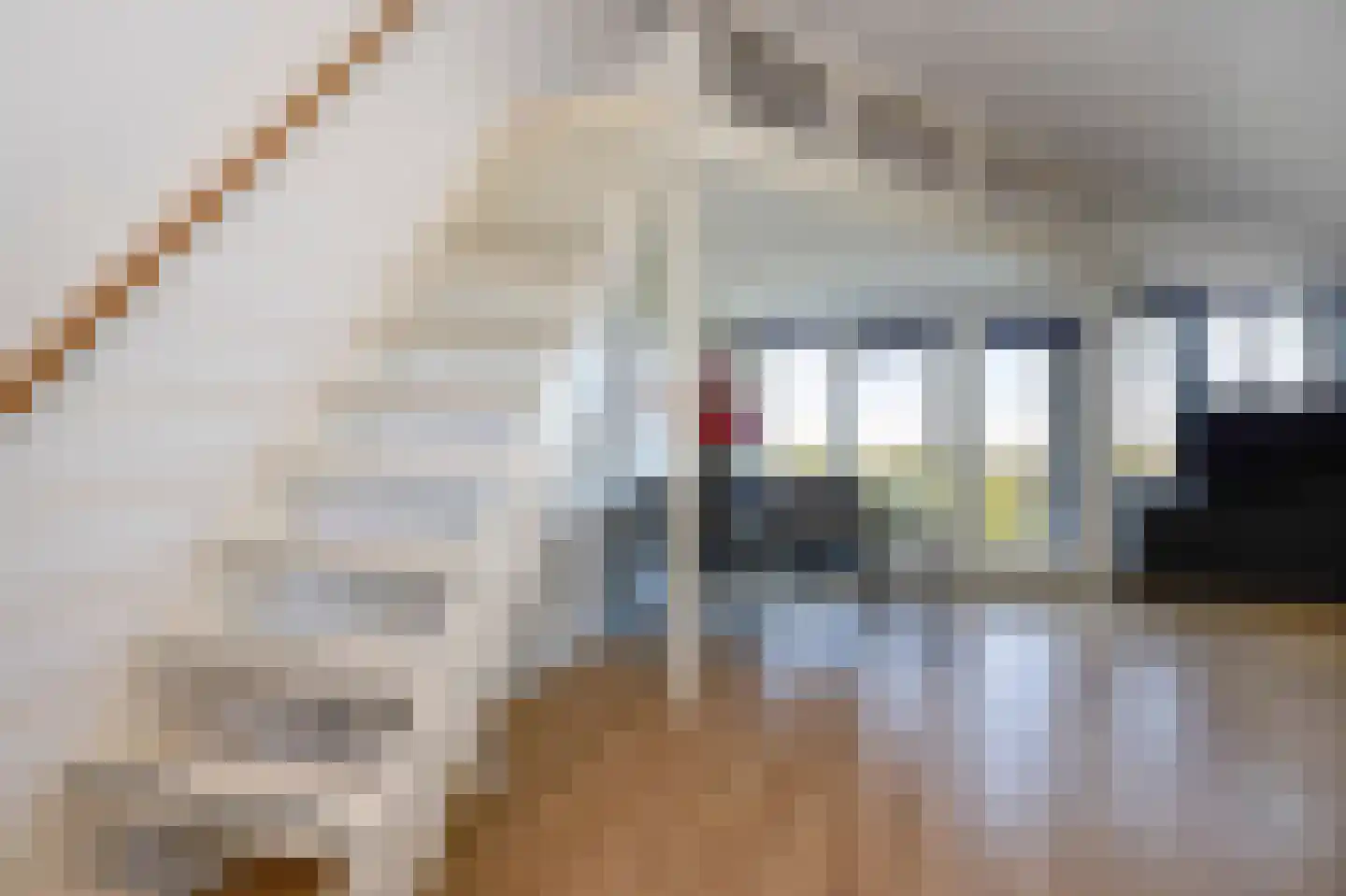 Vivaldisingel 213 Nieuw-Vennep thumbnail 36