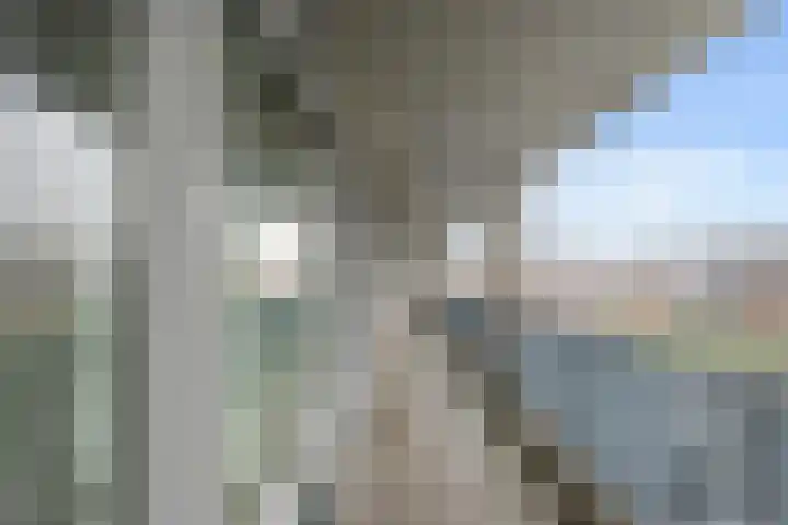 Vivaldisingel 227 Nieuw-Vennep thumbnail 4