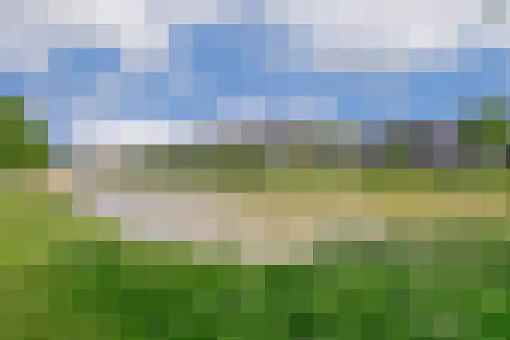 Vivaldisingel 229 Nieuw-Vennep foto 2