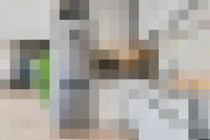 Vivaldisingel 229 Nieuw-Vennep thumbnail 21