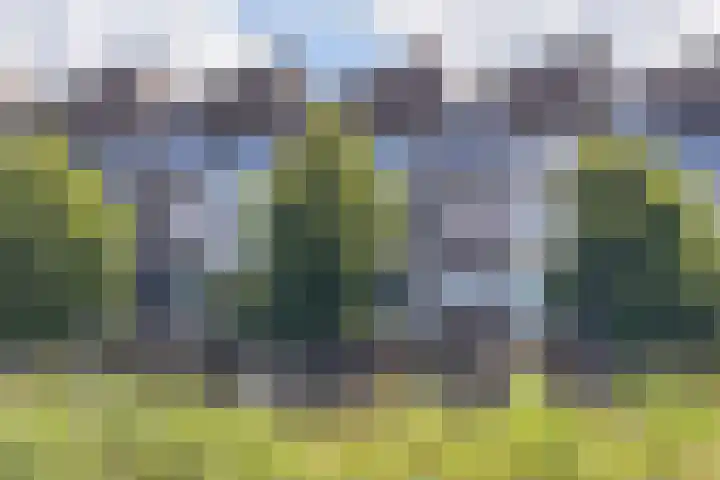 Vivaldisingel 229 Nieuw-Vennep thumbnail 27
