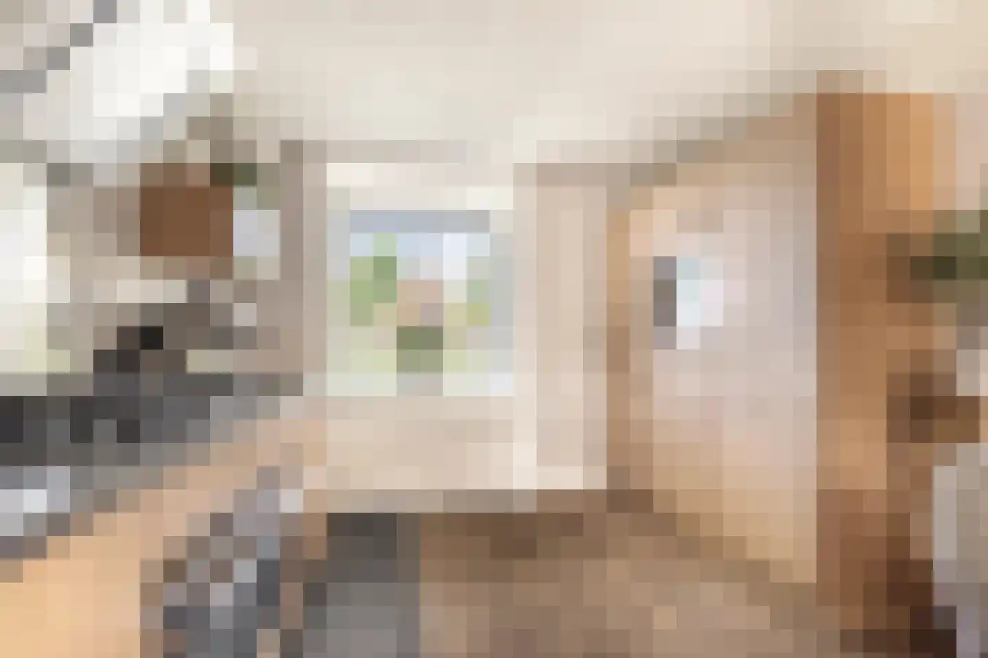 Vivaldisingel 23 Nieuw-Vennep thumbnail 13