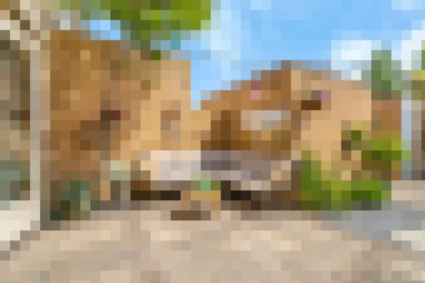 Vivaldisingel 23 Nieuw-Vennep thumbnail 17